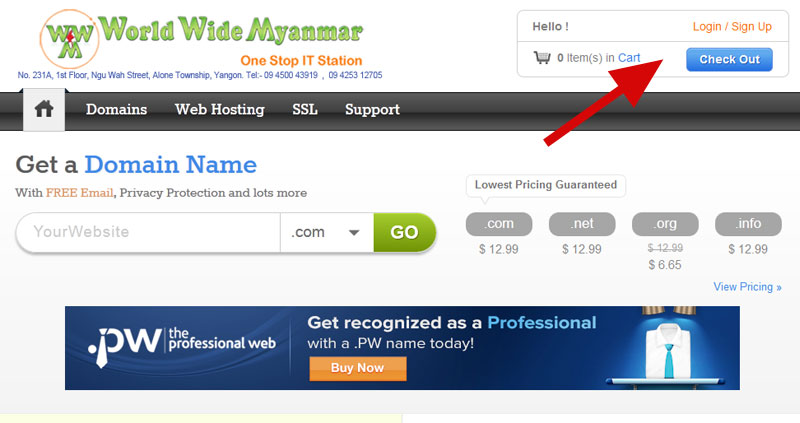 World Wide Myanmar : Domain