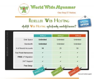 Reseller Web Hosting